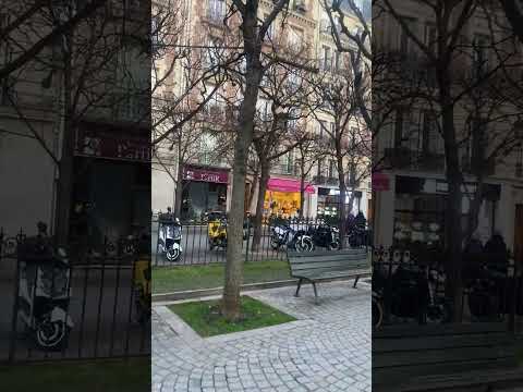 Image youtube